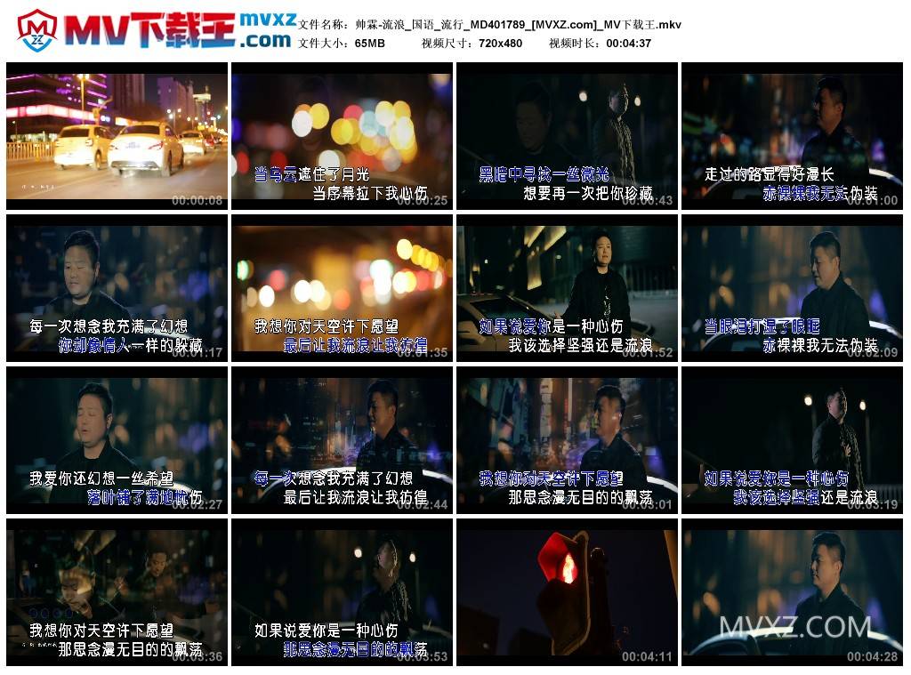 帅霖-流浪_国语_流行_MD401789